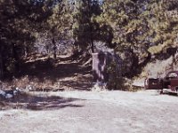Mine Outhouse